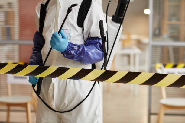 Professional Sewage Cleanup technician working in Centerport, NY